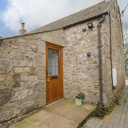 Torties * Brampton (Cumbria)