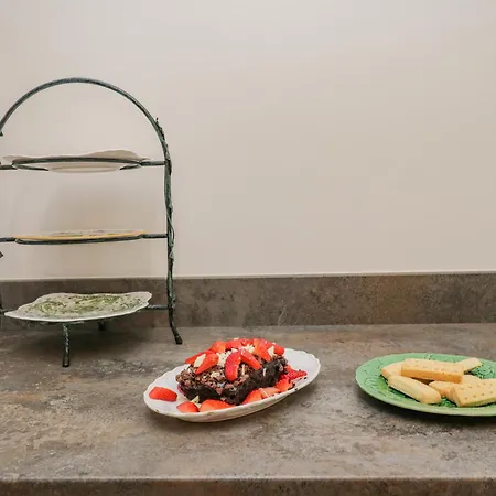 Torties * Brampton (Cumbria)